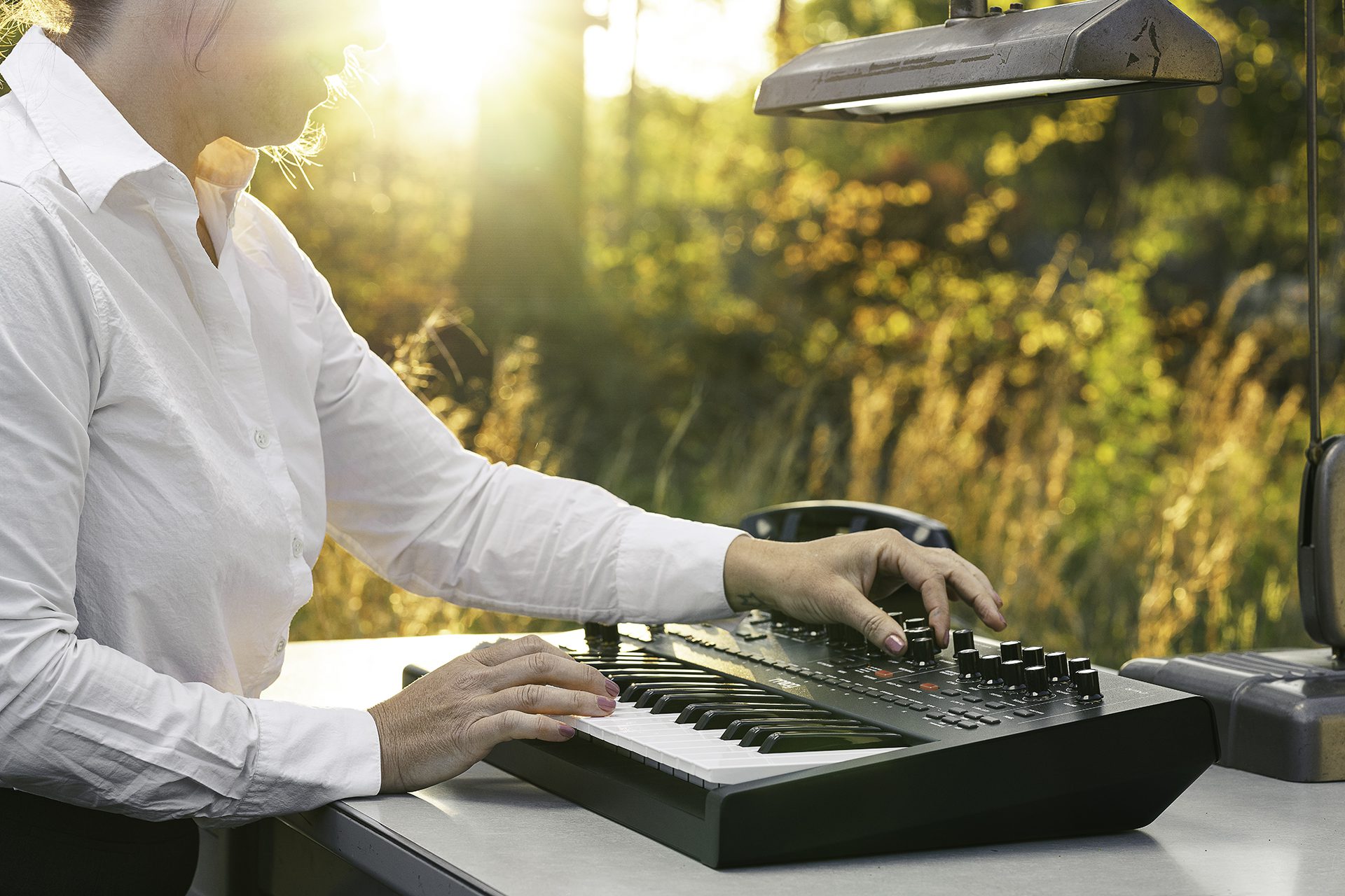 Current image: Moog Messenger in sunlight